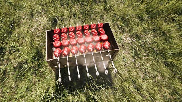 Nướng thịt, nấu ăn và rất nhiều hoạt động khác chỉ có trong DACHA game