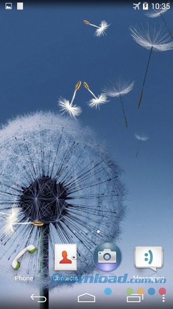 Dandelion Live Wallpaper gồm các hình ảnh chất lượng cao