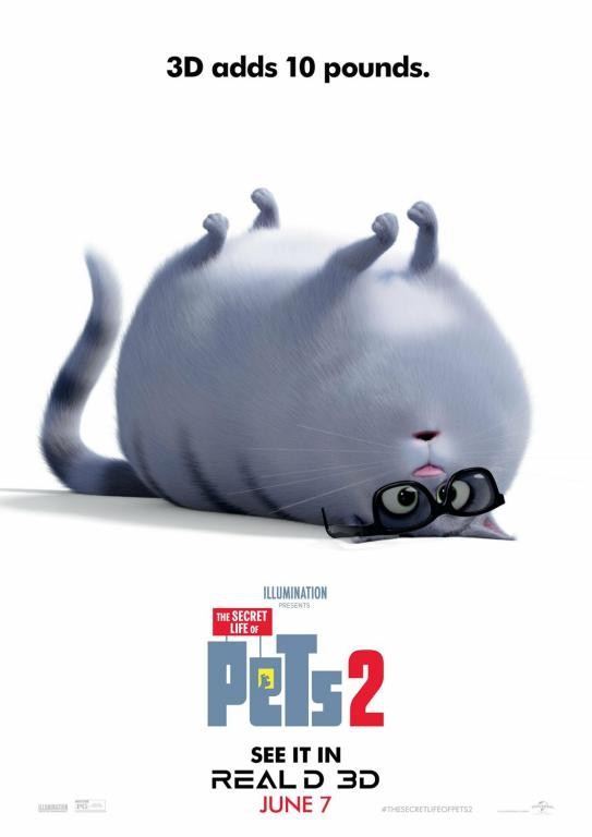 Ảnh thú cưng trong Poster The Secret Life of Pets 2