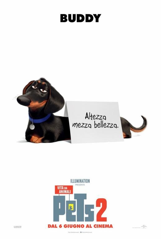 Ảnh thú cưng trong Poster The Secret Life of Pets 2