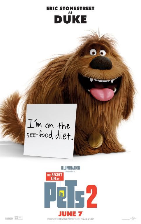 Ảnh thú cưng trong Poster The Secret Life of Pets 2