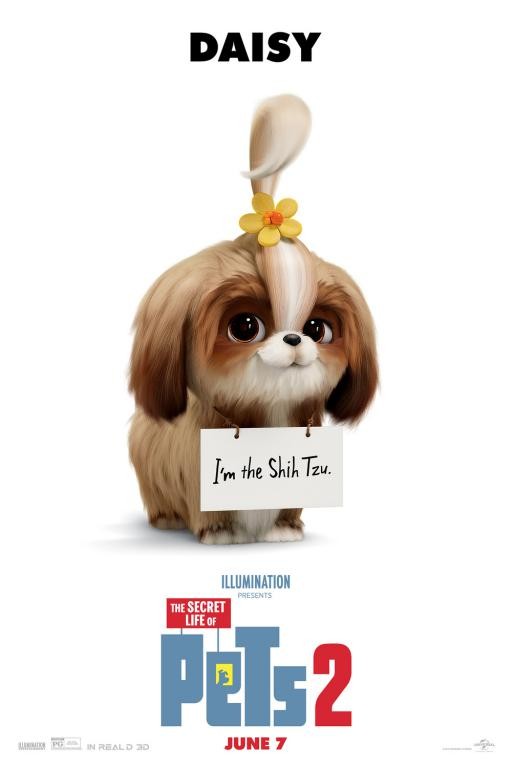 Poster The Secret Life of Pets 2