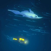 Dave the Diver: Khám phá Hố Xanh bí ẩn trong game lặn biển hấp dẫn