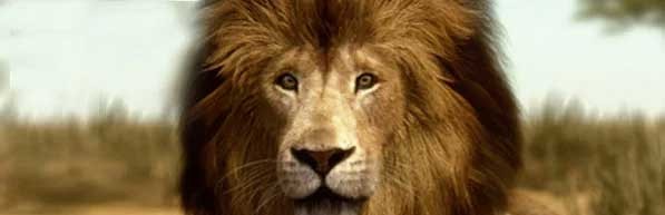 DAZ Studio làm siêu thực các hiệu ứng lông và quần áo