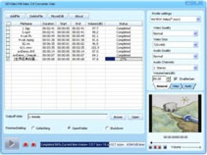 DDVideo Nintendo Wii Video Converter Gain