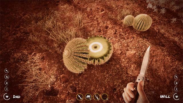 Tìm kiếm nguồn thức ăn và nước uống để duy trì sự sống trên sa mạc nóng bức