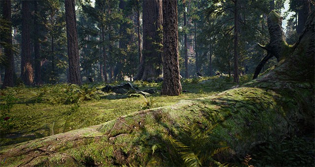 Bản đồ game gồm rất nhiều thung lũng, rừng rầm, đảo liên kết với nhau