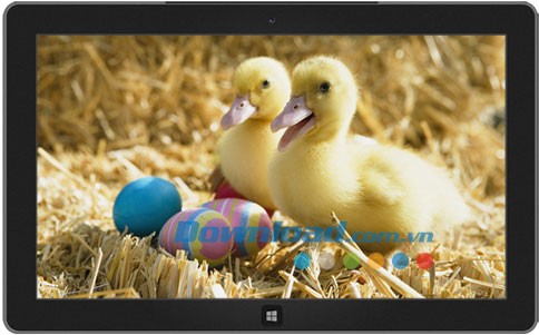 Decorated Eggs theme