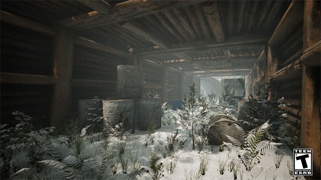 Lục soát mọi khu vực để thu thập manh mối, giải đố và làm sáng tỏ những điều chưa biết