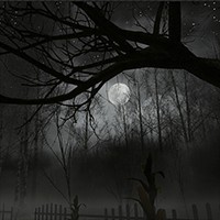 Descending The Woods Demo - Game Nông Trại Kinh Dị