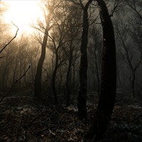 Digested - Game Kinh Dị Thoát Khỏi Rắn Độc Khổng Lồ