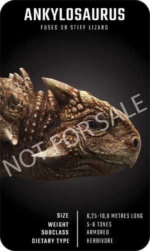 Khủng long Ankylosaurus