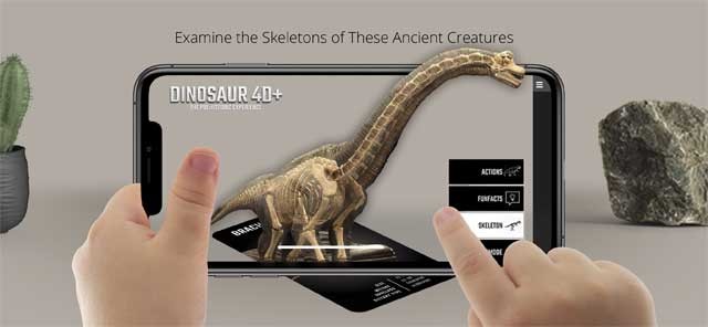 Nghiên cứu hóa thạch của các loài sinh vật tiền sử