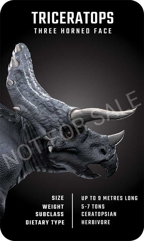 Bạn có thể tải bộ flashcard Dinosaur 4D+ đầy đủ từ trang web chính thức của nhà phát triển