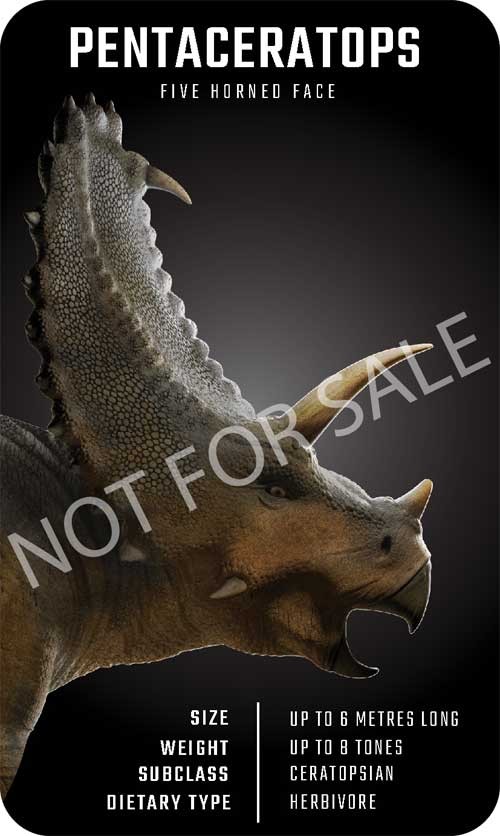 Một vài ví dụ về các mẫu flashcard Dinosaur 4D+