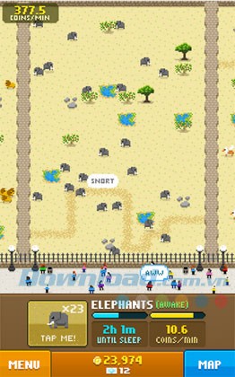 Disco Zoo