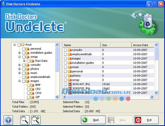 Disk Doctors Undelete