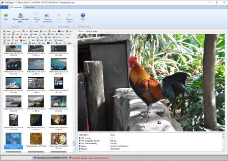 Giao diện trực quan, dễ sử dụng của DiskDigger 2021
