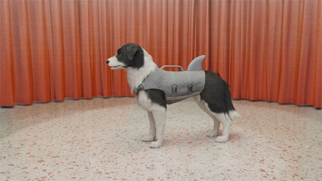 Tùy chỉnh trang phục, phụ kiện cho cún theo ý thích