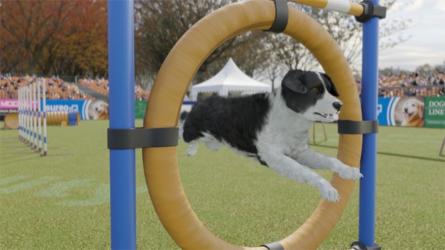 Tham gia các cuộc thi và trở thành nhà vô địch