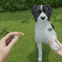 Dog Trainer - Game Huấn Luyện Chó Tại Nhà