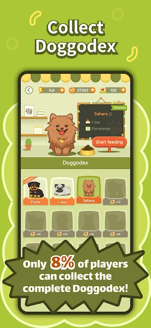 Thu thập thật nhiều loài chó khác nhau