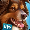 DogHotel Lite - Game Nuôi Chó Hoành Tráng trên Android