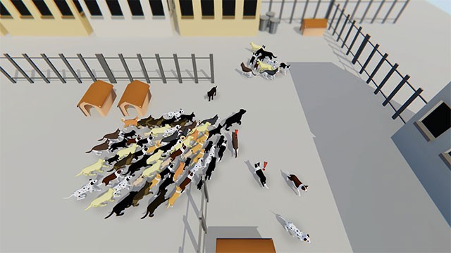 Tập hợp những con chó đi lang thang trên bản đồ hoặc cướp từ đàn chó nhỏ hơn