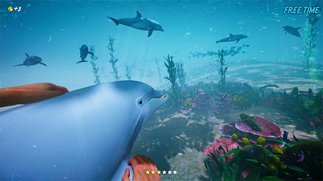 Dolphin Trainer VR là game giả lập huấn luyện cá heo chuyên nghiệp trên máy tính