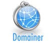 Domainer - Tìm hiểu về Domainer