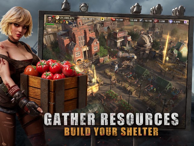 Tập hợp nguồn lực, xây dựng nơi trú ẩn