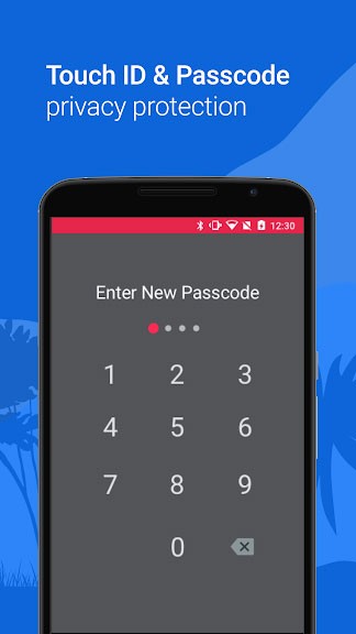 Bảo mật dữ liệu trên Kode Browser bằng mật khẩu