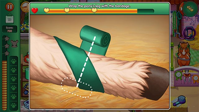 Giải cứu và chữa bệnh cho nhiều loài động vật