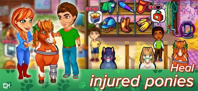 Chữa trị cho các chú ngựa bị thương