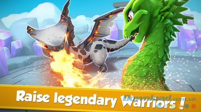 Huấn luyện chiến binh rồng