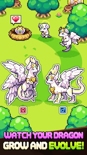 Xem các con rồng phát triển và tiến hóa