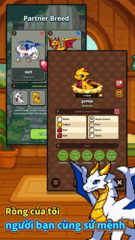 Rồng của tôi, người bạn đồng hành