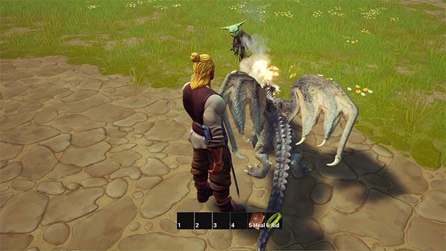 Huân luyện rồng thiêng các kỹ năng cơ bản để sẵn sàng chiến đấu