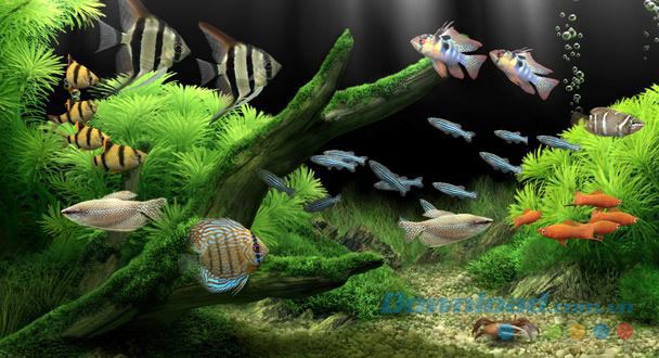 Giao diện màn hình chờ của phần mềm