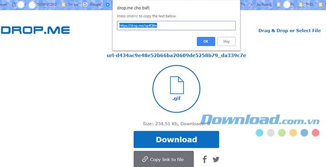 Sao chép đường dẫn tải