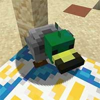 Duck Mod: Thêm Vịt Mới vào Game