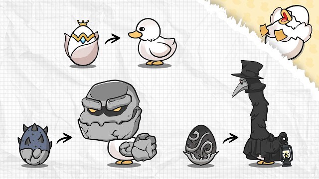 Thu thập và ấp nở những quả trứng vịt độc đáo