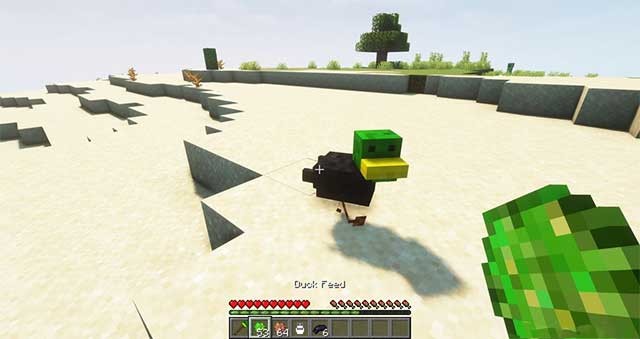 Bạn phải nuôi một số loại vịt nhất định để có được loại vịt mới