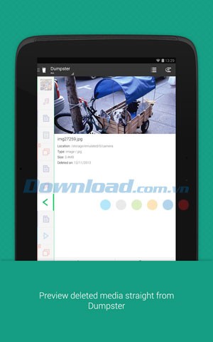 Dumpster Image & Video Restore