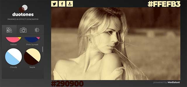 Bạn có thể áp dụng hiệu ứng duotone vào ảnh để khiến chúng trở nên ấn tượng hơn