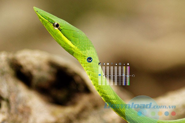 Phần mềm chỉnh sửa ảnh