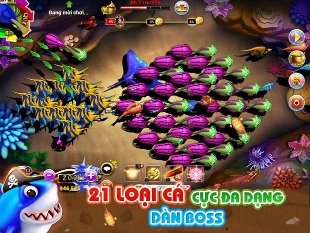 DzoCá mang tới 21 loại cá cực đa dạng