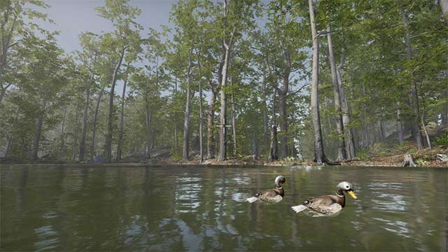 Giải cứu động vật hoang dã và người đi bộ lạc trong rừng