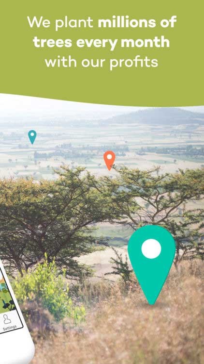 Hàng triệu cây được trồng mỗi tháng với lợi nhuận thu được