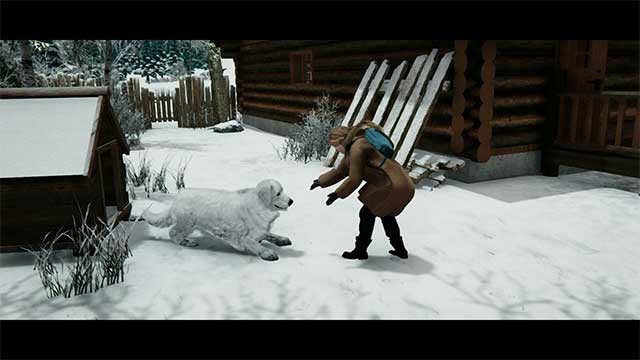 Ôm và chăm sóc chú chó của bạn để tăng mức độ tình cảm của chúng